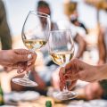 Luxury wine tasting experience in the Cape Winelands