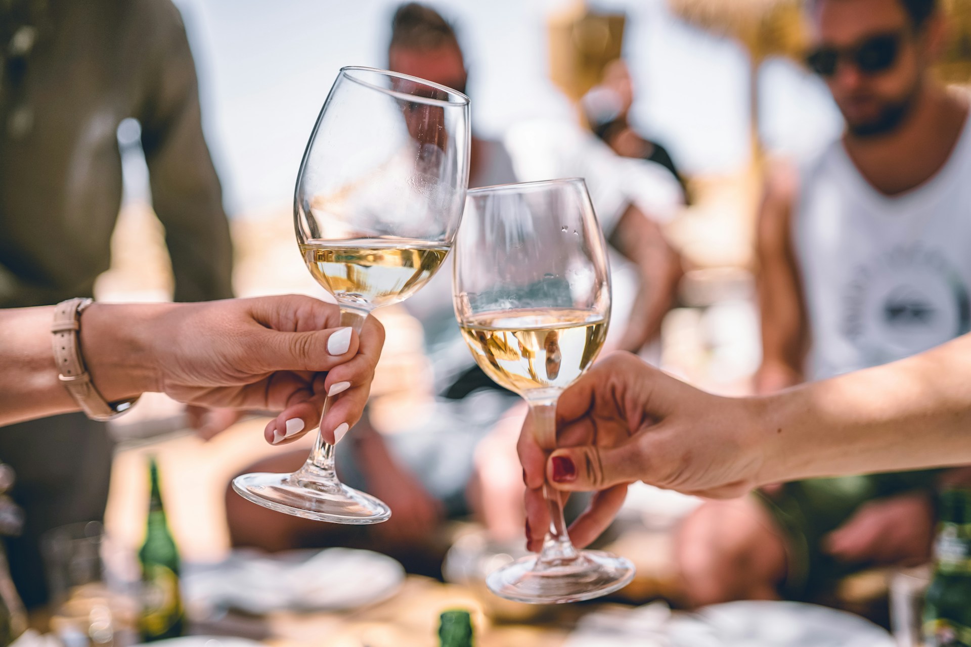 Luxury wine tasting experience in the Cape Winelands